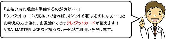 虫退治プロではクレジットカード決済もOK