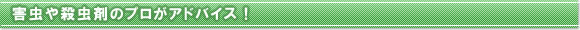 害虫や殺虫剤のプロがしっかりアドバイス